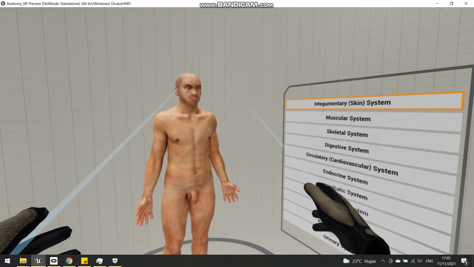 VR Anatomi 3