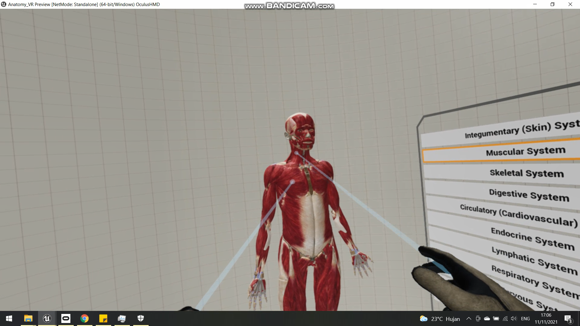 VR Anatomi 5