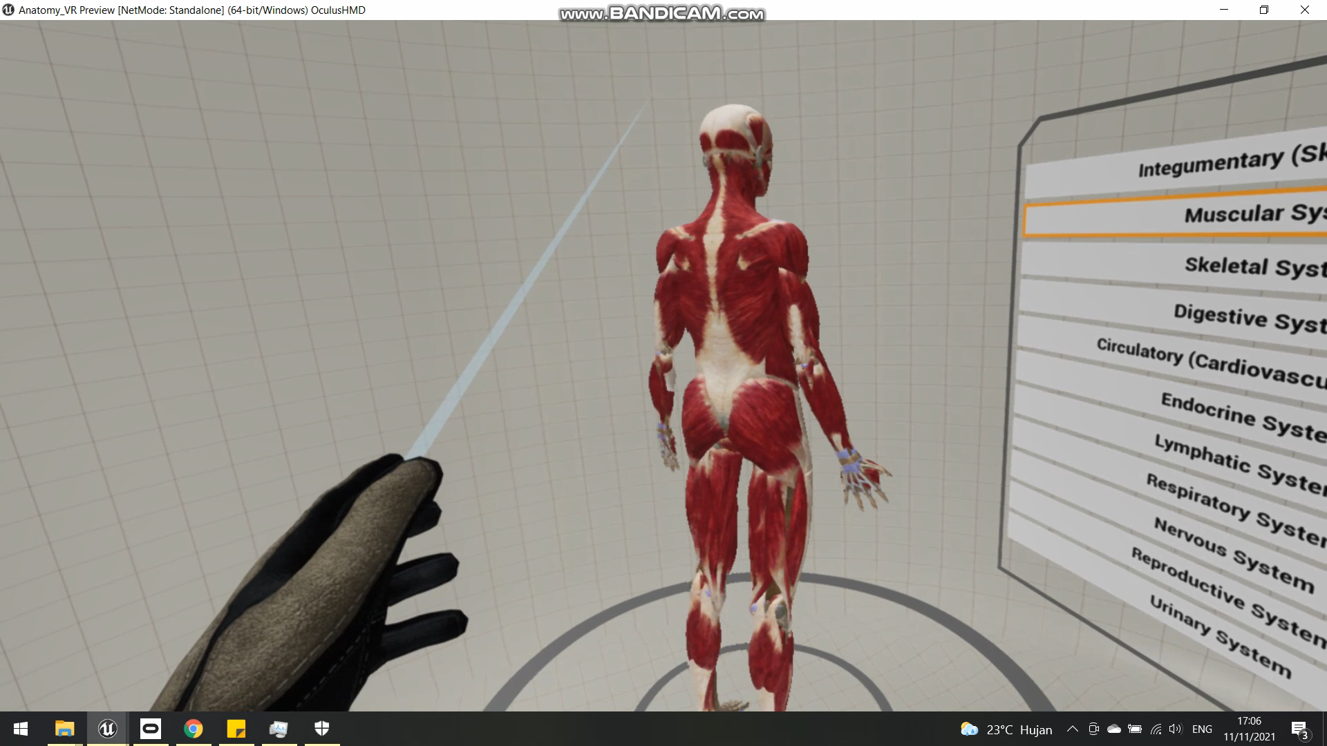 VR Anatomi 2